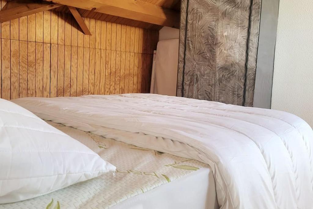 Duplex 4/6P Le Familial Apartman Laveissière Kültér fotó